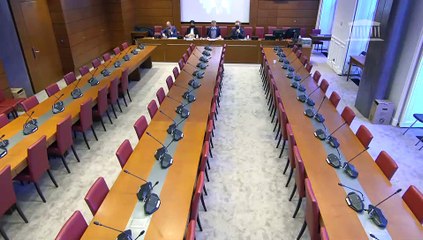 Commission d'enquête sur les migrations : Audition de spécialistes du règlement Dublin - Mercredi 29 septembre 2021