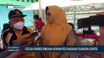 Cegah Rabies Ribuan Hewan Peliharaan Divaksin