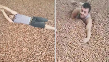 Fındık içinde yüzdüğü anları sosyal medyadan paylaştı, milyonlarca kişi izledi