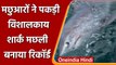 Monster Shark: मछुआरों ने 'Monster Shark' पकड़कर बनाया Record , घंटों चली लड़ाई  | वनइंडिया हिंदी
