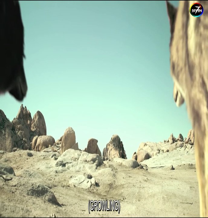 Alpha 2018