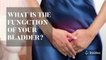 WHAT IS THE FUNCTION OF YOUR BLADDER