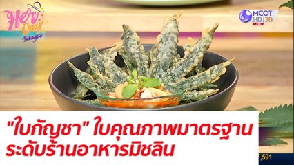 พืชสมุนไพรท้องถิ่น "ใบกัญชา" ใบคุณภาพมาตรฐานระดับร้านอาหารมิชลิน : Her Day วันของเธอ (30 ก.ย. 64)