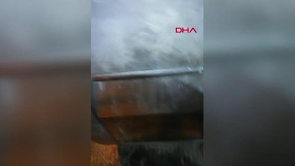 Çöp konteynerine atılan kedi, temizlik personelinin dikkati sayesinde kurtuldu