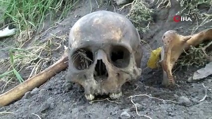 Erzurum’da bir höyükte kafatası ve kemikler ortaya çıktı; uzun süredir müdahale edilmiyor