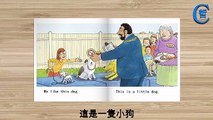 Top Dog, Oxford Reading Tree, Story Book, English
