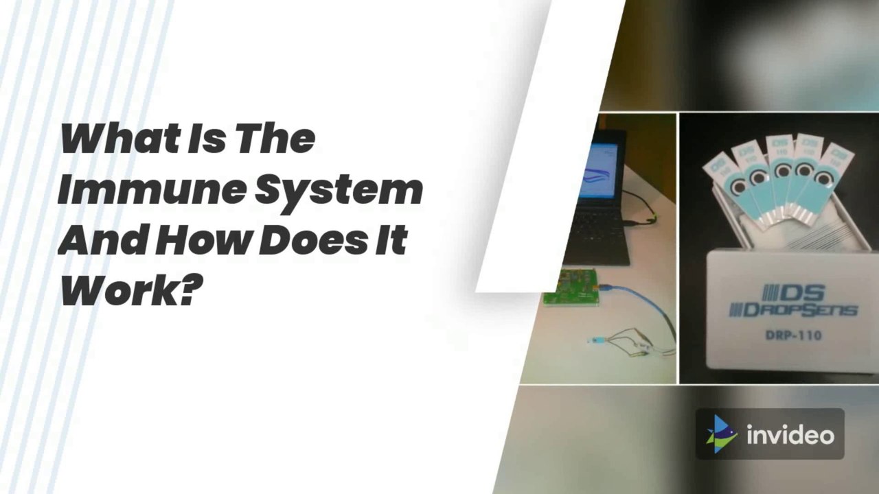 WHAT DOES THE IMMUNE SYSTEM DO?