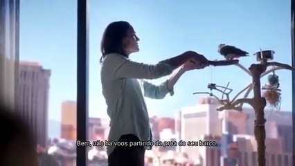 Les Experts de retour : Où est passée Catherine Willow ? Réponse en vidéo