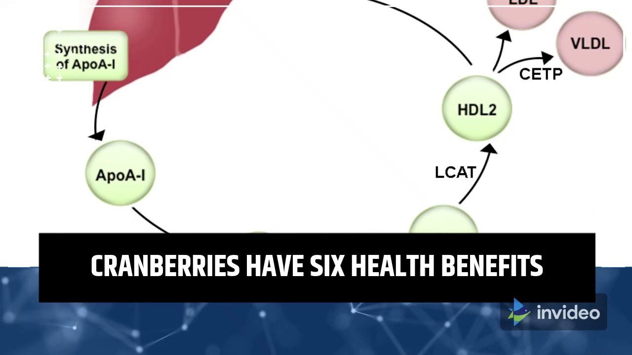 CRANBERRIES HAVE SIX HEALTH BENEFITS