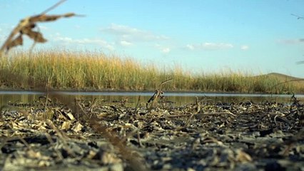 Van Gölü kurudu, 6 bin yıl önceki durumuna döndü