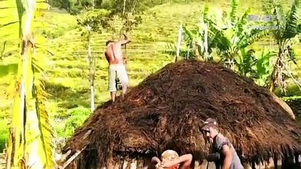 KEUNIKAN RUMAH ADAT PAPUA