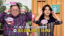 귓볼 지압법 으로 기력·혈액 순환 개선하자!  TV CHOSUN 210930 방송