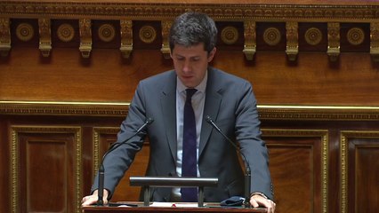 Maltraitance animale: "la première maltraitance, c'est l'abandon", rappelle Julien Denormandie