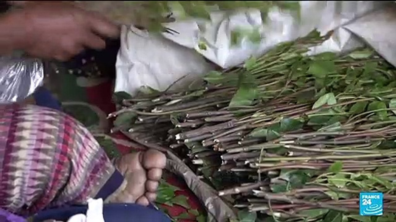 Ethiopia elections: Somali region holds vote after 3-month delay