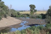 Meriç gibi Tunca Nehri'nde de kuraklığın etkisi görülüyor