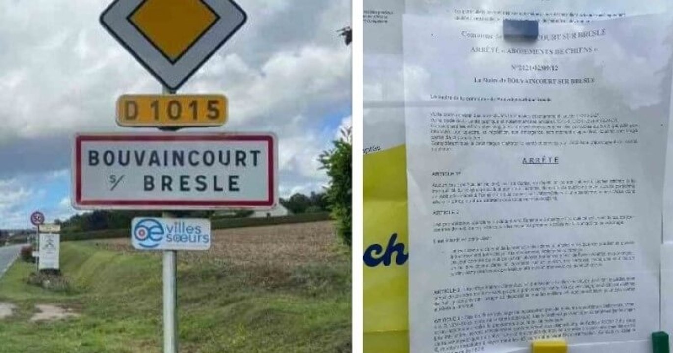Somme : un arrêté « anti-aboiements » a été pris dans un village, pour limiter les nuisances sonores des chiens