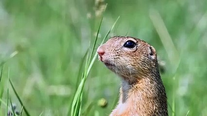 Onları “fark etmeye” ne dersiniz?