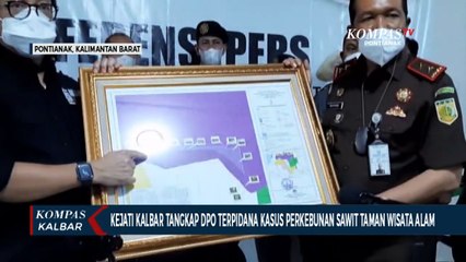 Maman Suherman, Terpidana Kasus Pembukaan Lahan Sawit Ilegal Ditangkap Kejati Kalbar