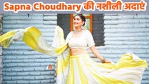 Sapna Choudhary ने वीडियो में दिया ऐसा एक्सप्रेशन, जिसे देख आप रोक नहीं सकेंगे आपकी हसी