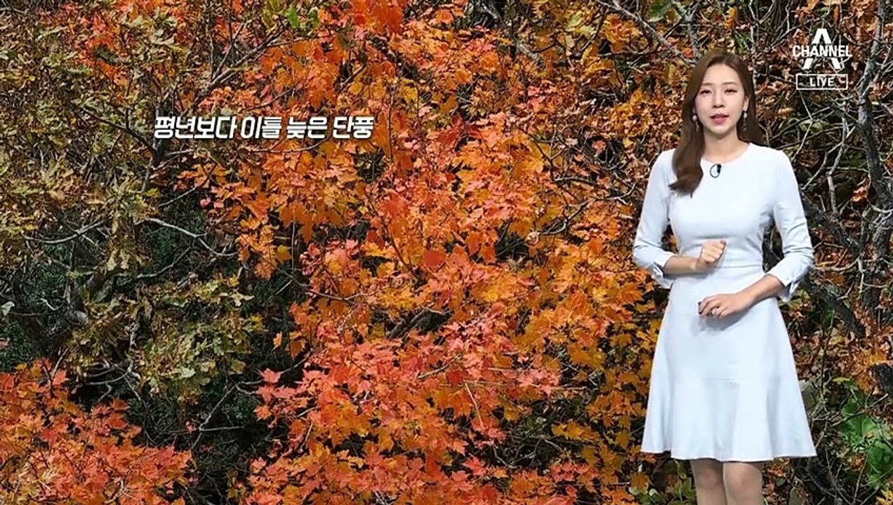[날씨]설악산 첫 단풍 시작…내일 맑고 일교차 커요