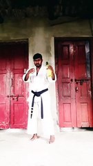 Kung Fu Drunken Master