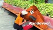panda reels |panda funny video||panda comedy video#shorts #ytshorts