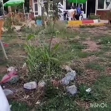 VID-20210927-WA0076