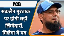 PCB: PCB will announce Saqlain Mushtaq as the new Head Coach of Pakistan Team | वनइंडिया हिन्दी