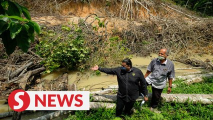 Illegal mining project polluted river water, say Hulu Kinta farmers
