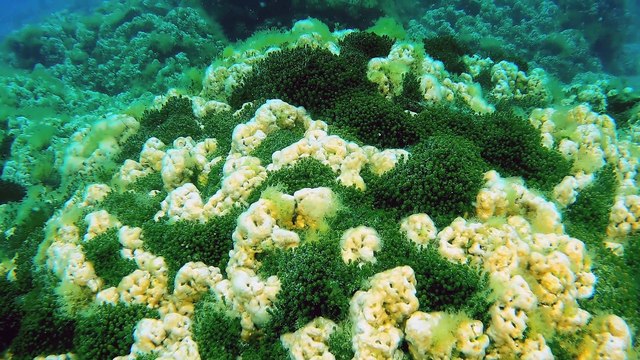 Çevre ve Şehircilik Bakanlığı Salda gölünü doğasına uygun olarak koruyor