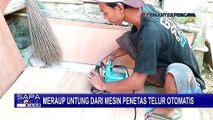 Kreatif! Pria di Kendal Berhasil Buat Mesin Penetas Telur Otomatis