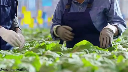 THE MOST REALISTIC WAY TO SUCCEED IN LIFE   POWERFUL  MOTIVATIONAL VIDEO 2021/2022