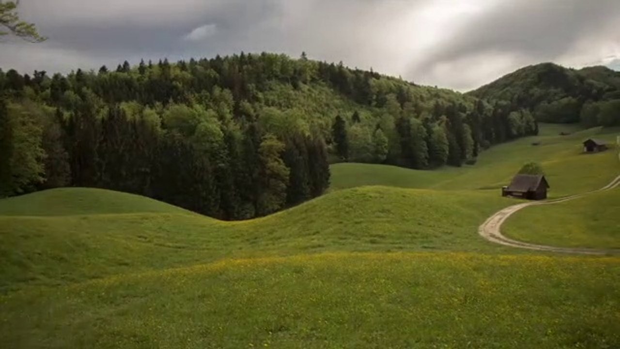 Calm instrumental|instrumen tenang|Eternal Garden-Calm