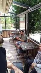 şarkı söyleyen papağan. dans eden papağan kakadu umbırella