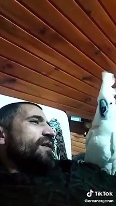 Bulut'un kelebek ile imtihanı