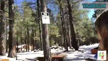 funny video -  beautiful video  - funny fails   #29
