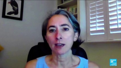 US to declare 23 species, including ivory-billed woodpecker, officially extinct