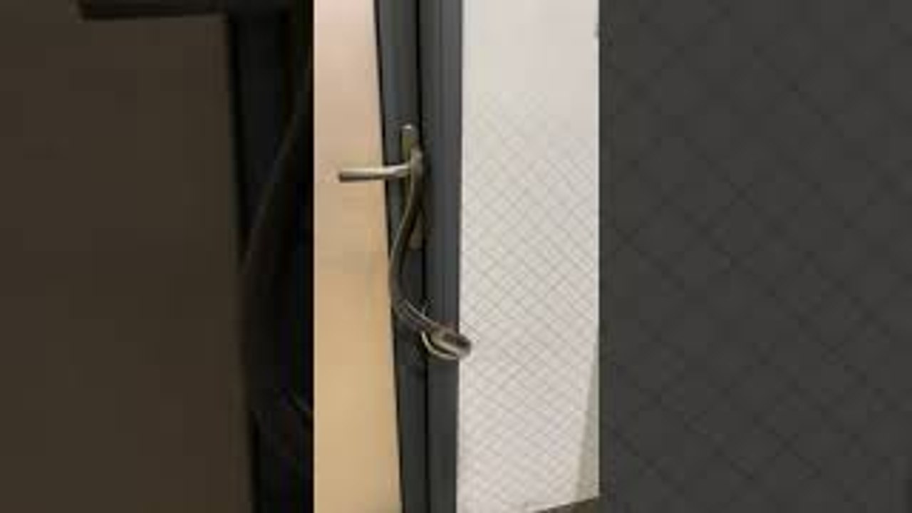 Snake Wraps Itself Around Door Handle