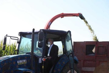 Başkan Tahmazoğlu mısır hasadına katıldı