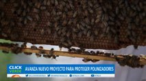 China y países de la Unión Europea adelantan plan para salvar a las abejas