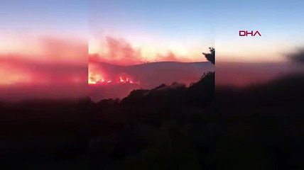 Karaburun'da orman yangını