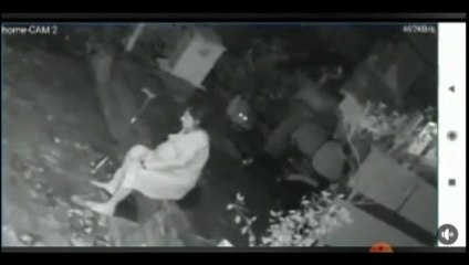 Suposto ataque de onça não ocorreu em Santa Tereza do Oeste