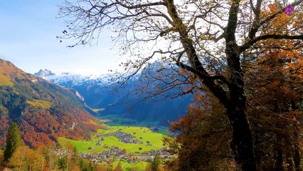 intro-logo-15-min-20210919-133718