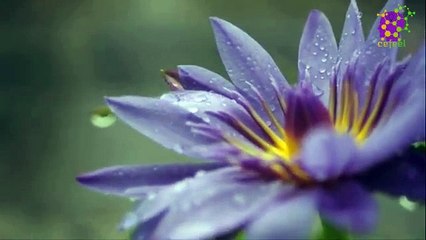 intro-logo-15-min-20210923-211834