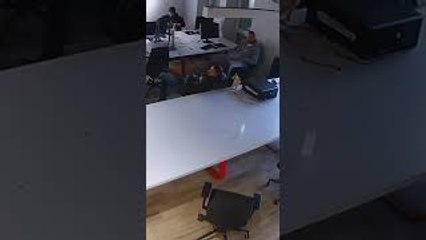 Playful Kitten Startles Unsuspecting Man