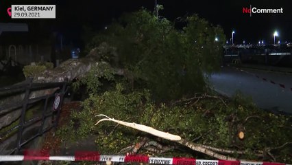 شاهد: إصابة أربعة أشخاص على الأقل بجروح إثر إعصار ضرب مدينة كيل الألمانية