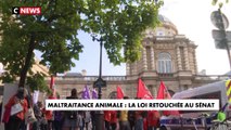 Maltraitance animale : la loi retouchée au Sénat