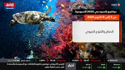 ...مع الحكومات الاماراتية السعودية أي نعم ف...