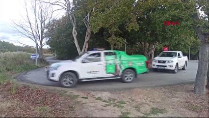 JANDARMA, SOKAK HAYVANLARINA SU VE MAMA VERDİ