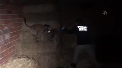 Son dakika haber | Uyuşturucu operasyonunda bir şüpheli tutuklandı